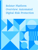 Bolster Platform Overview: Automated Digital Risk Protection