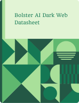 Bolster AI Dark Web Datasheet